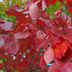 Image for article titled 48 Photos Of Autumn Around The World